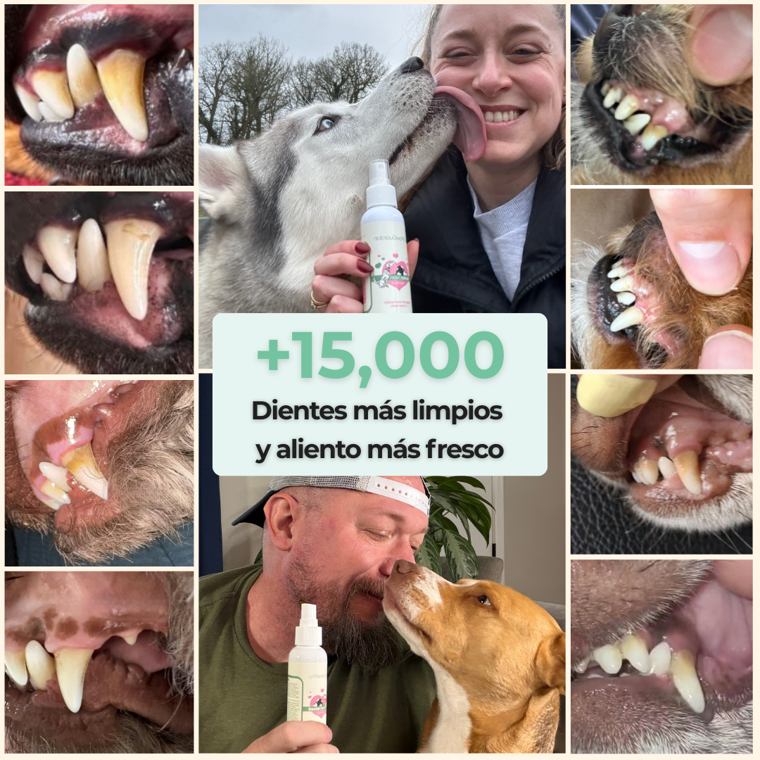 ORALPET - Dentaclean