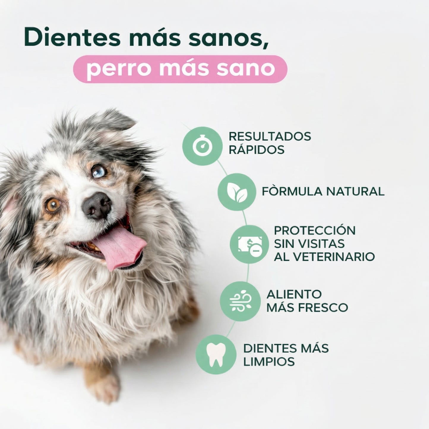 ORALPET - Dentaclean